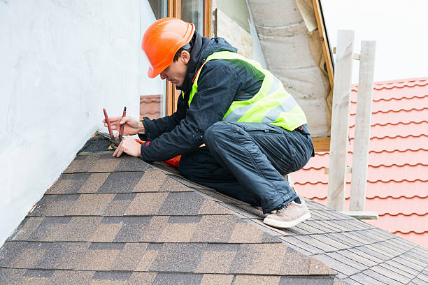 Best Roof Gutter Cleaning  in Tomahawk, WI