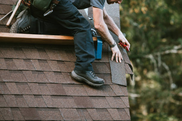 Roof Gutter Cleaning in Tomahawk, WI